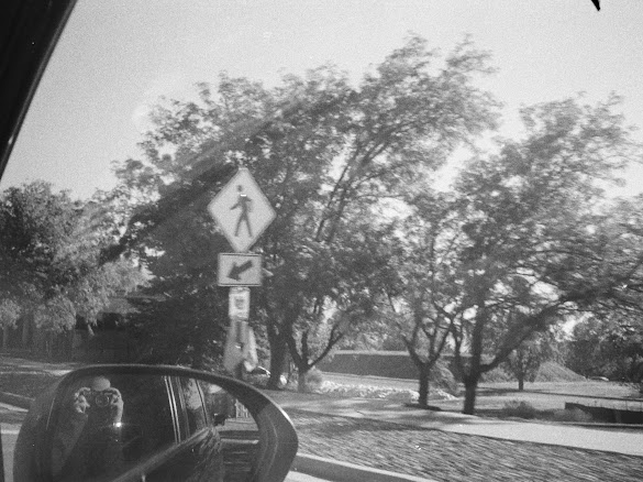 Shanti's reflection in a car side mirror, holding a camera, with a pedestrian crossing sign and trees